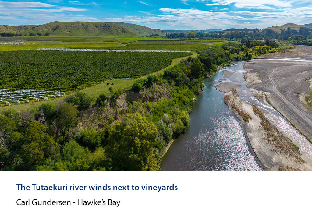 Aerial of the Tutaekuri River curving past vineyard blocks and green hills.