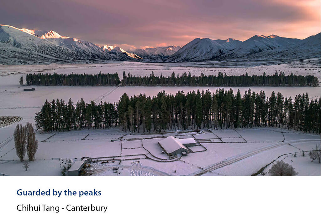 Aerial of snow-covered farm buildings and pine shelterbelts below alpine peaks.