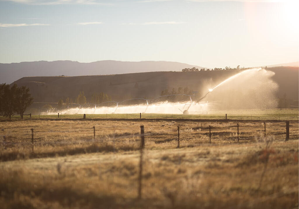 Water irrigator at sunset