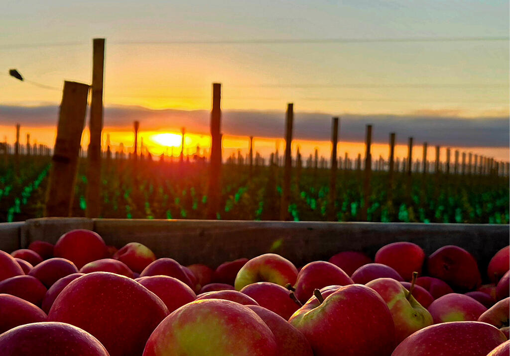 2027 Calendar winning entry for March by Ilka Belinda Tufuga from Hawkes Bay with 'Early morning CHB sunrise'.