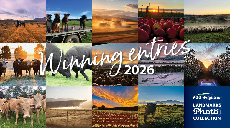 LandMarks 2026 winning image collage
