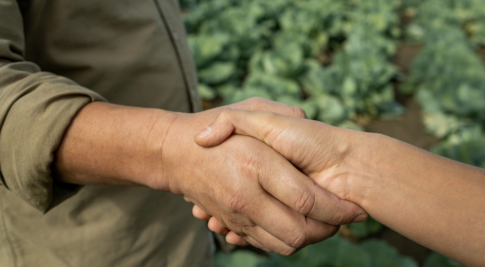 two farmers shake hands in a paddock