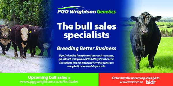 Bull Sales 2020