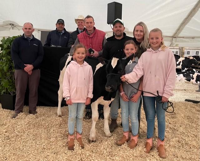  Livestock Market Update: Busybrook Dairy Sale