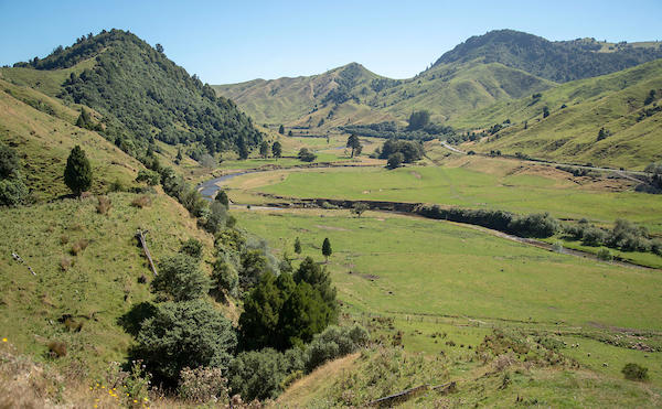 Landscape of farm