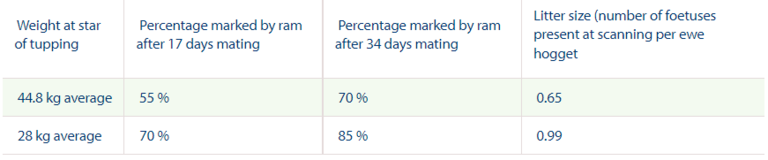 Table: Percentage of ewe hoggets marked by the ram crayon at different body weights
