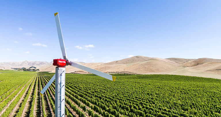 Wind machine in vineyard