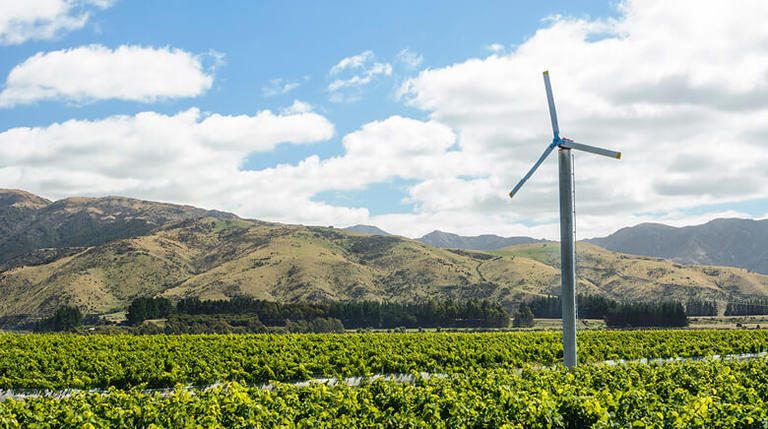 Wind machine in vineyard