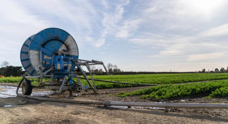 An irrigation system set up next to a field growing crops.