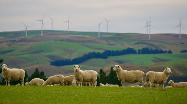 • Wind powered sheep, photographed by Pam Murray for the 2023 PGW Landmarks Photo Collection.