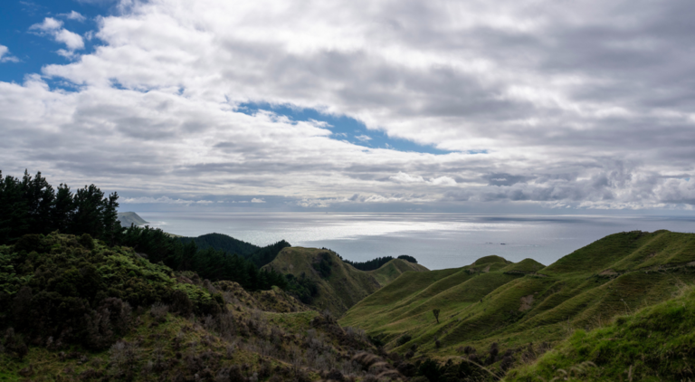 Tawapata South Māori Incorporation Onenui Station in Mahia in the Hawke’s Bay region.