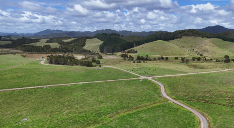Whangaroa Ngaiotonga Trust farm in Whangaruru on the East Coast of Northland
