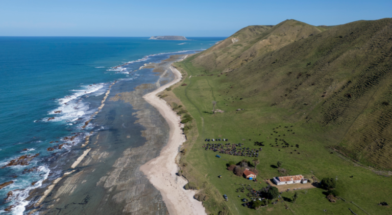 Tawapata South, Ahuwhenua Finalist Field Day.