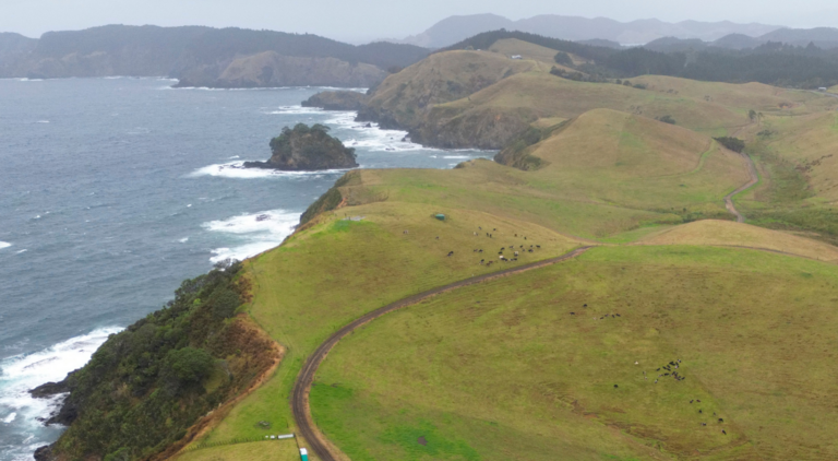 Whangaroa Ngaiotonga Trust farm aerial view