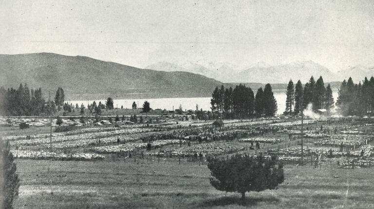 The Tekapo Sale c.1960