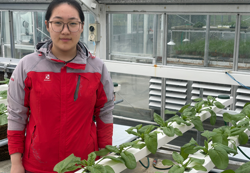 Recipient of PGG Wrightson 175 Year Scholarship, Xinyu Wu in the Massey University Plant Growth Unit greenhouse.