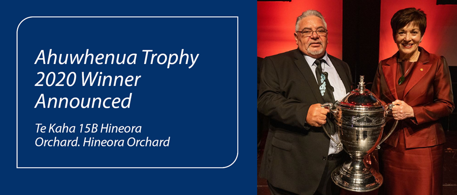 Winners ahuwhenua trophy 
