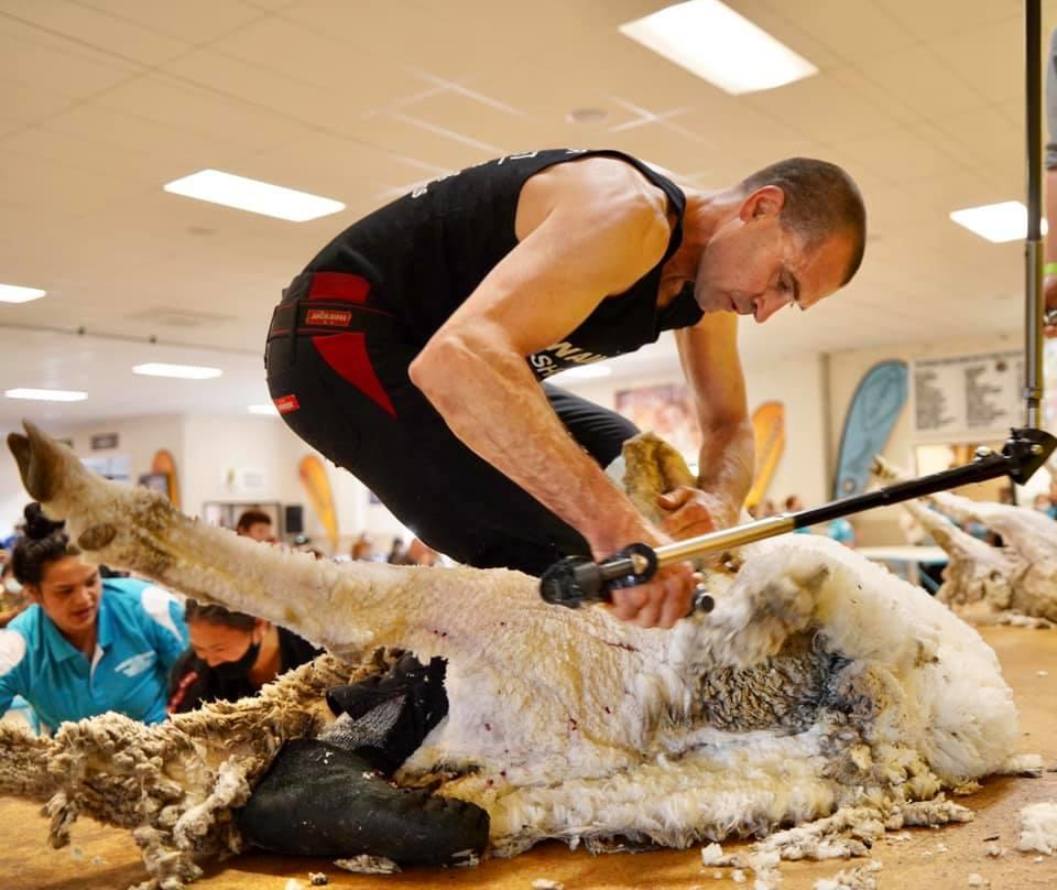 Southland shearer Nathan Stratford at Waimate in October, one of the shearers who has been able to compete in the disrupted seas and who leads both the Shearing Sports New Zealand Open shearing rankings and the PGG Wrightson Vetmed National Circuit.