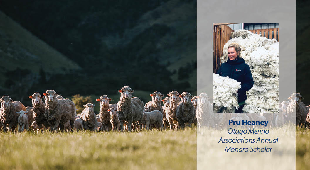 Merino Scholarship