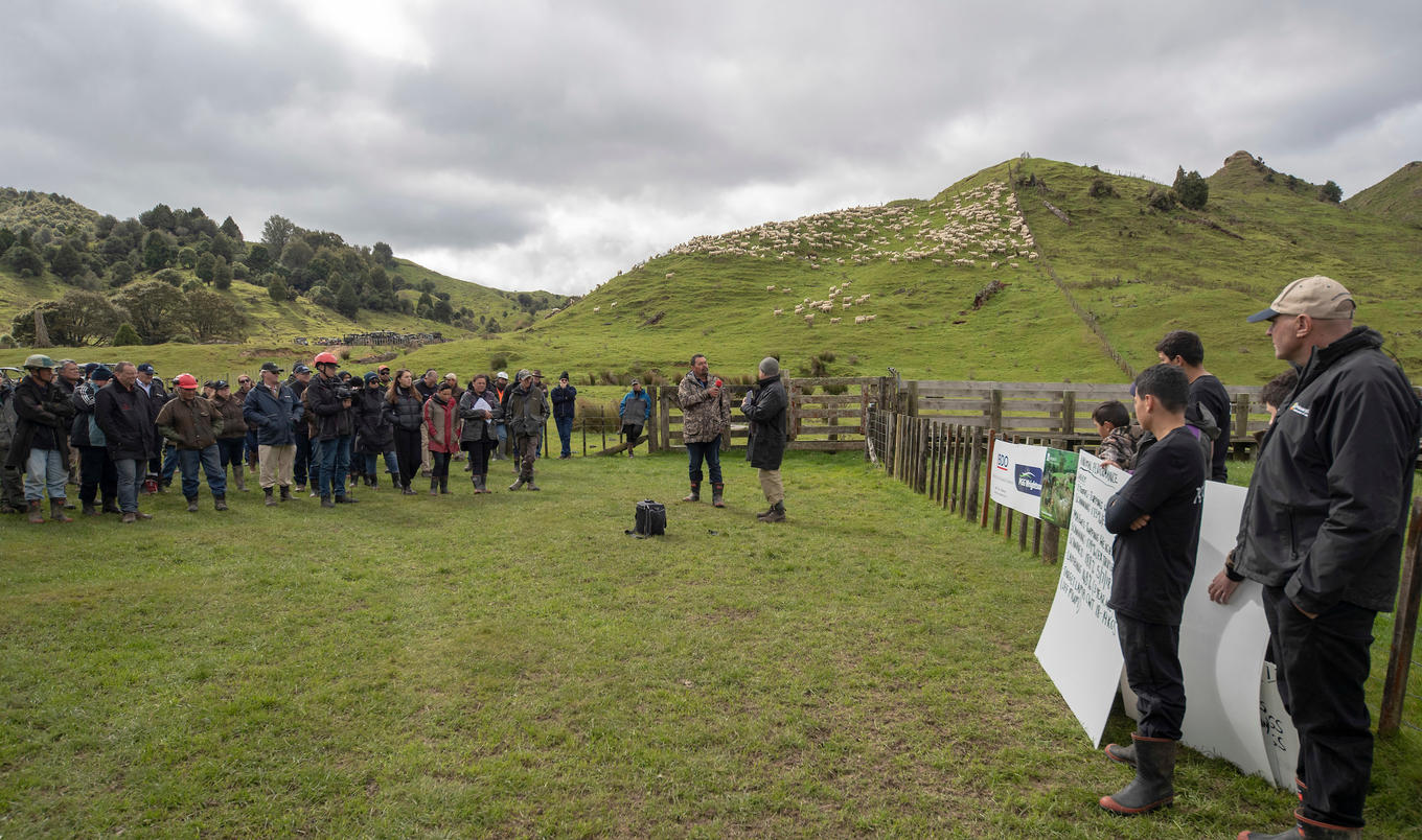 Ahuwhenua Field Day