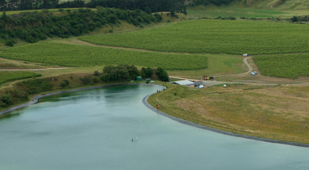 Dam in a vineyard, Wairarapa