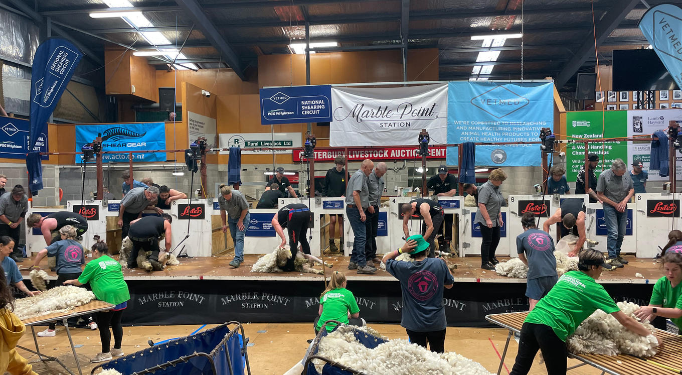 Big South Island win as Fagan prepares for record bid