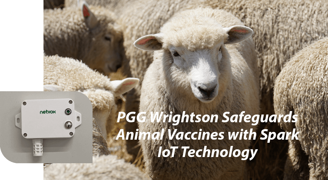 Image of IoT Fridge Technology and a sheep