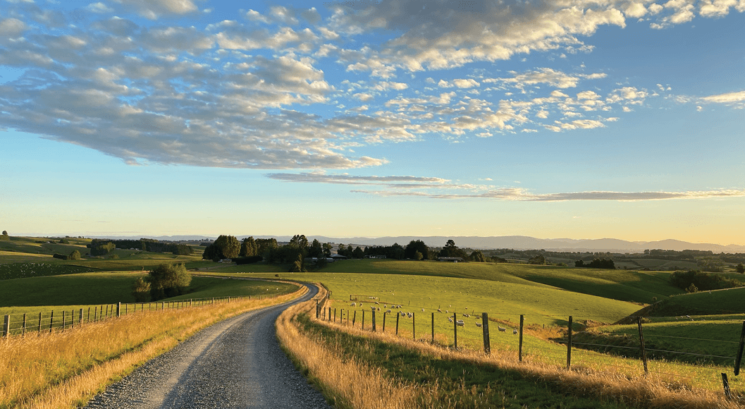 Winding country road at sunset