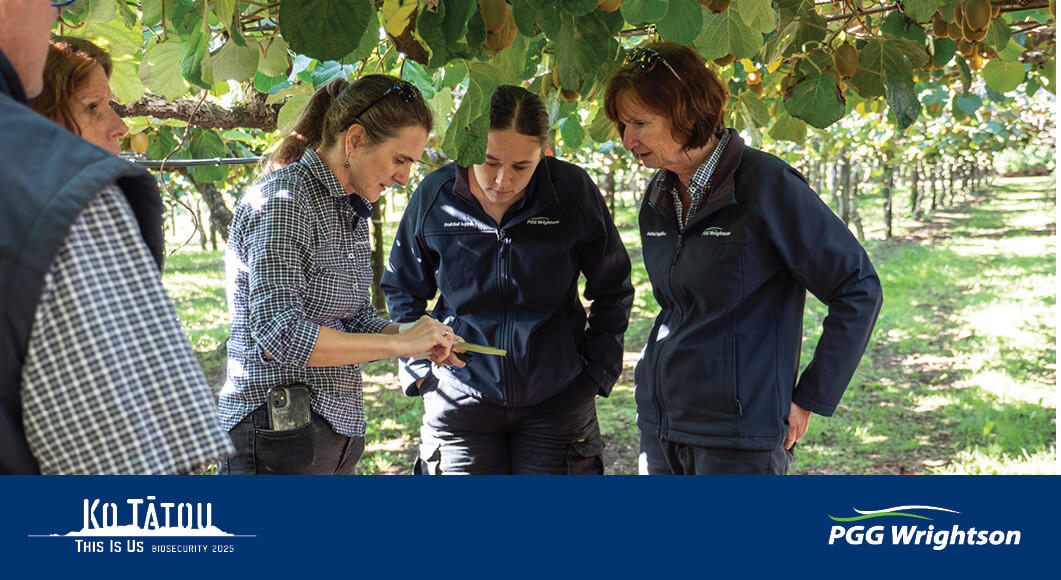 Staff inspecting crops for pest and disease