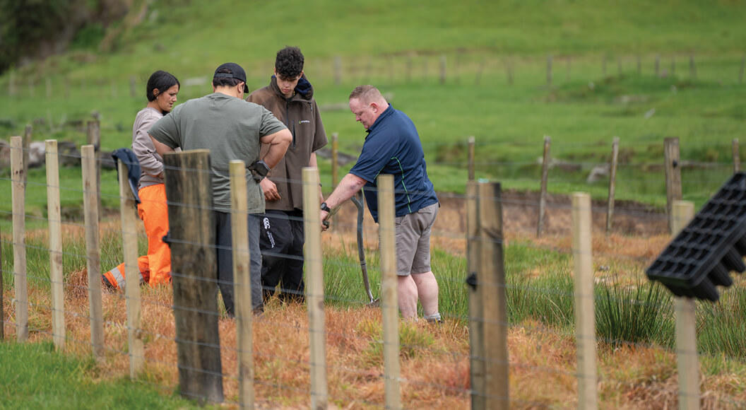 A group of people planting manuka seedlings