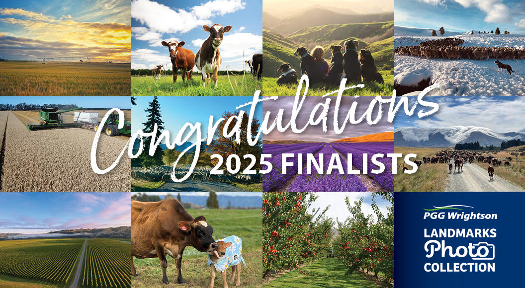 A montage of finalists images
