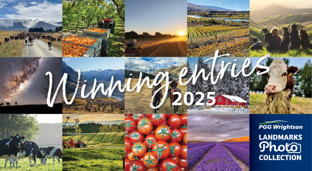 A montage of winning images in the LandMarks Photo Collection 2025