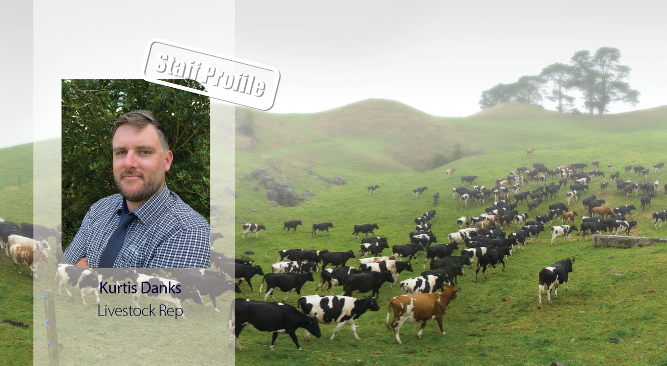 Staff Profile Kurtis Danks Livestock Rep