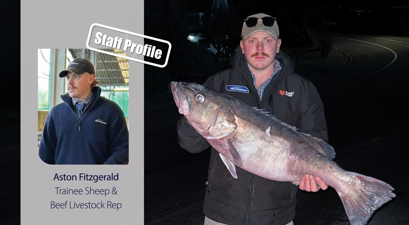 astonstaffprofileoct2026