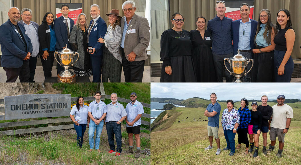 Ahuwhenua finalists for 2025; Whangaroa Ngaiotonga Trust and Tawapata South Māori Incorporation Onenui Station