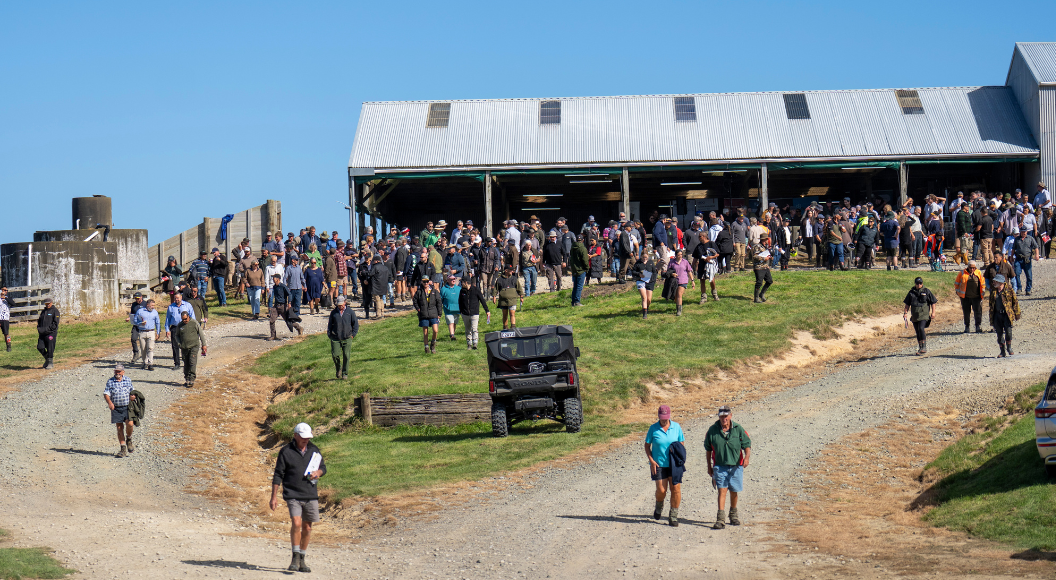 Tawapata South, Ahuwhenua Finalist Field Day.