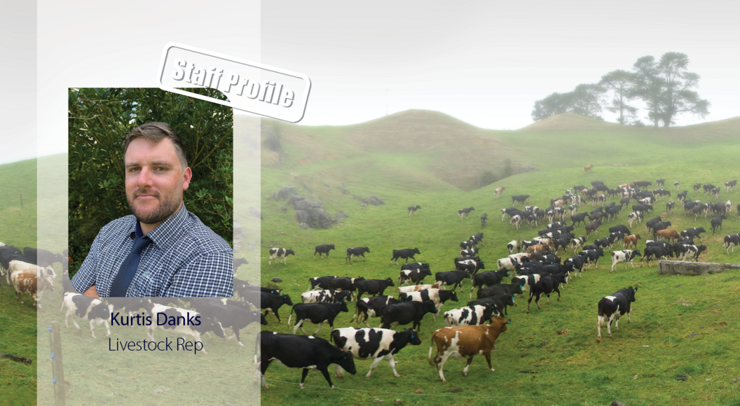 Staff Profile Kurtis Danks Livestock Rep